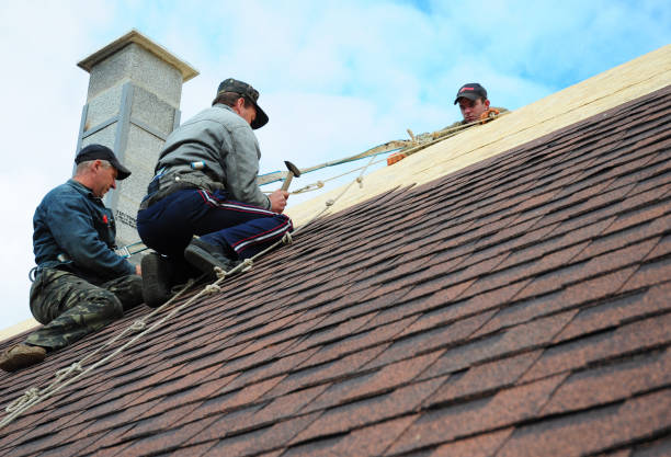Best Roof Gutter Cleaning  in Pennville, PA